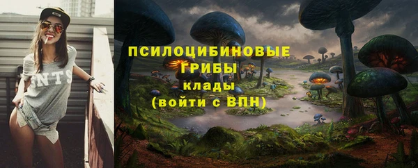 ALPHA PVP Вязьма