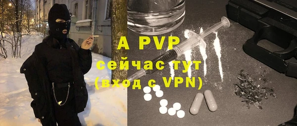прущие крисы Вяземский