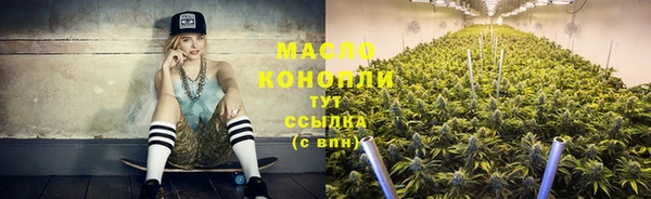 прущие крисы Вяземский