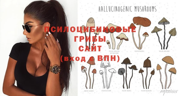 spice Вязники