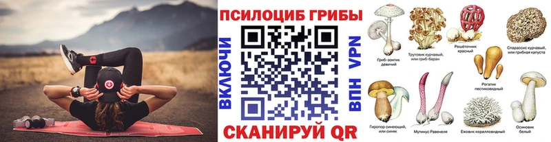 Галлюциногенные грибы прущие грибы  Купить  Лаишево 